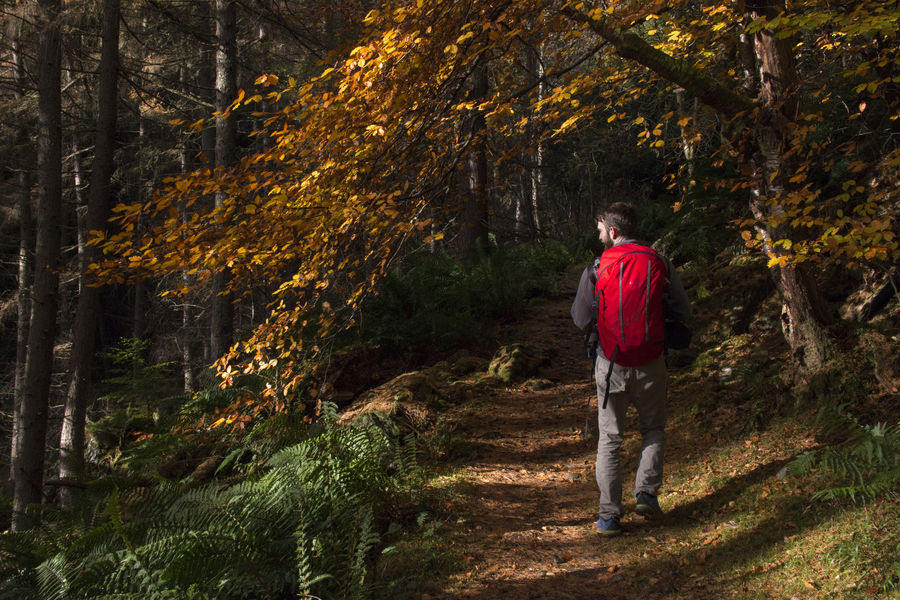 Chamois 45l Rucksack Review