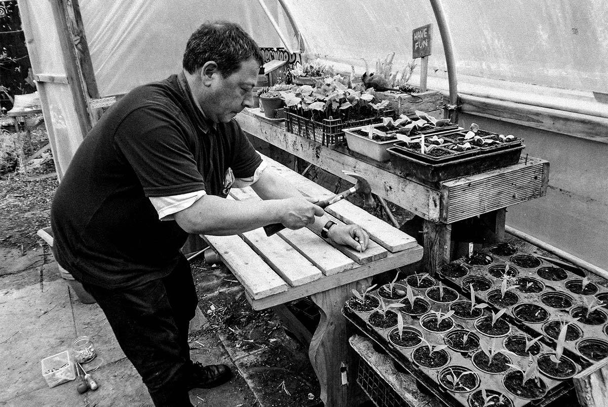 Small splashes to raise the sea