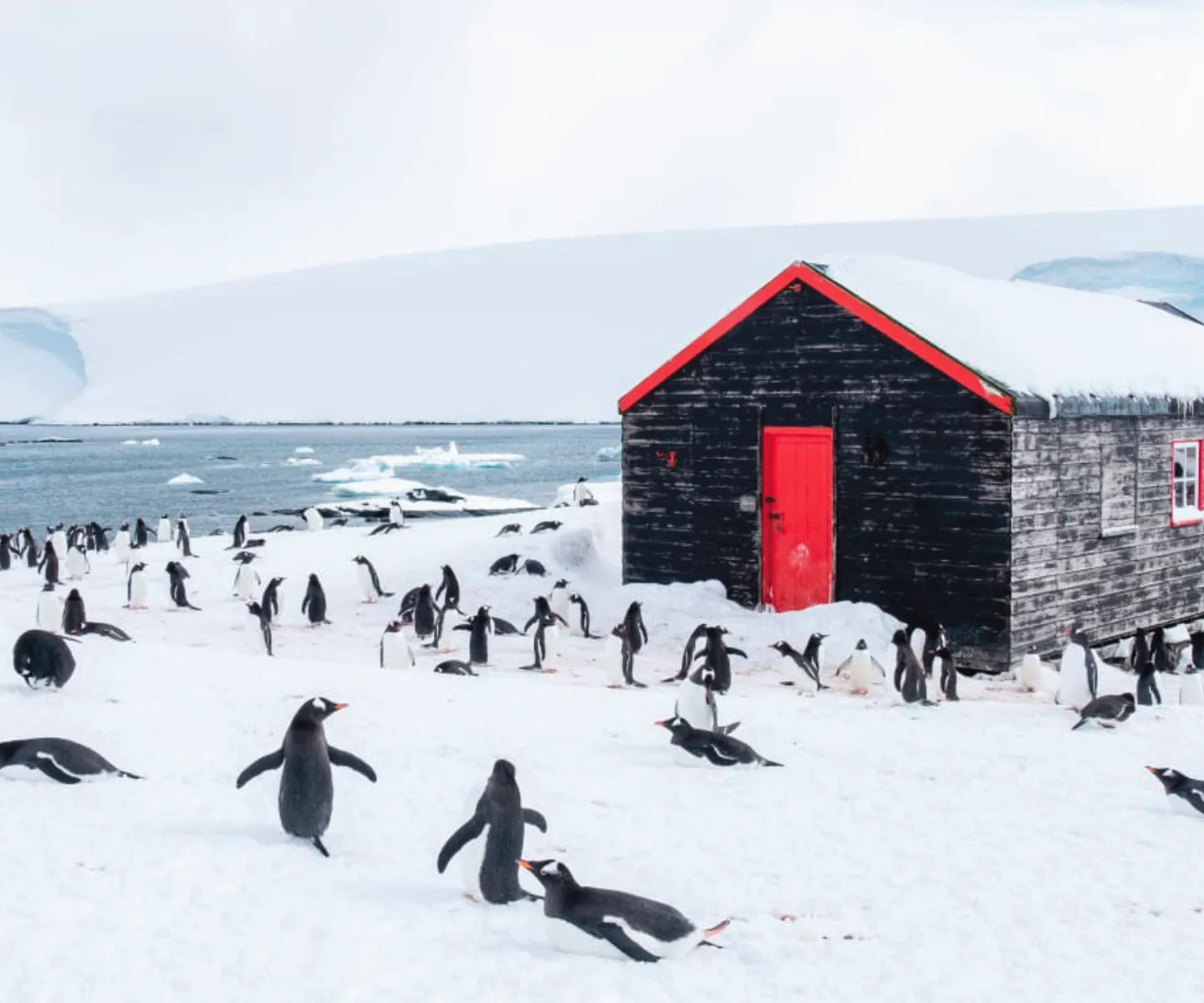 Southern most post office in Antartica