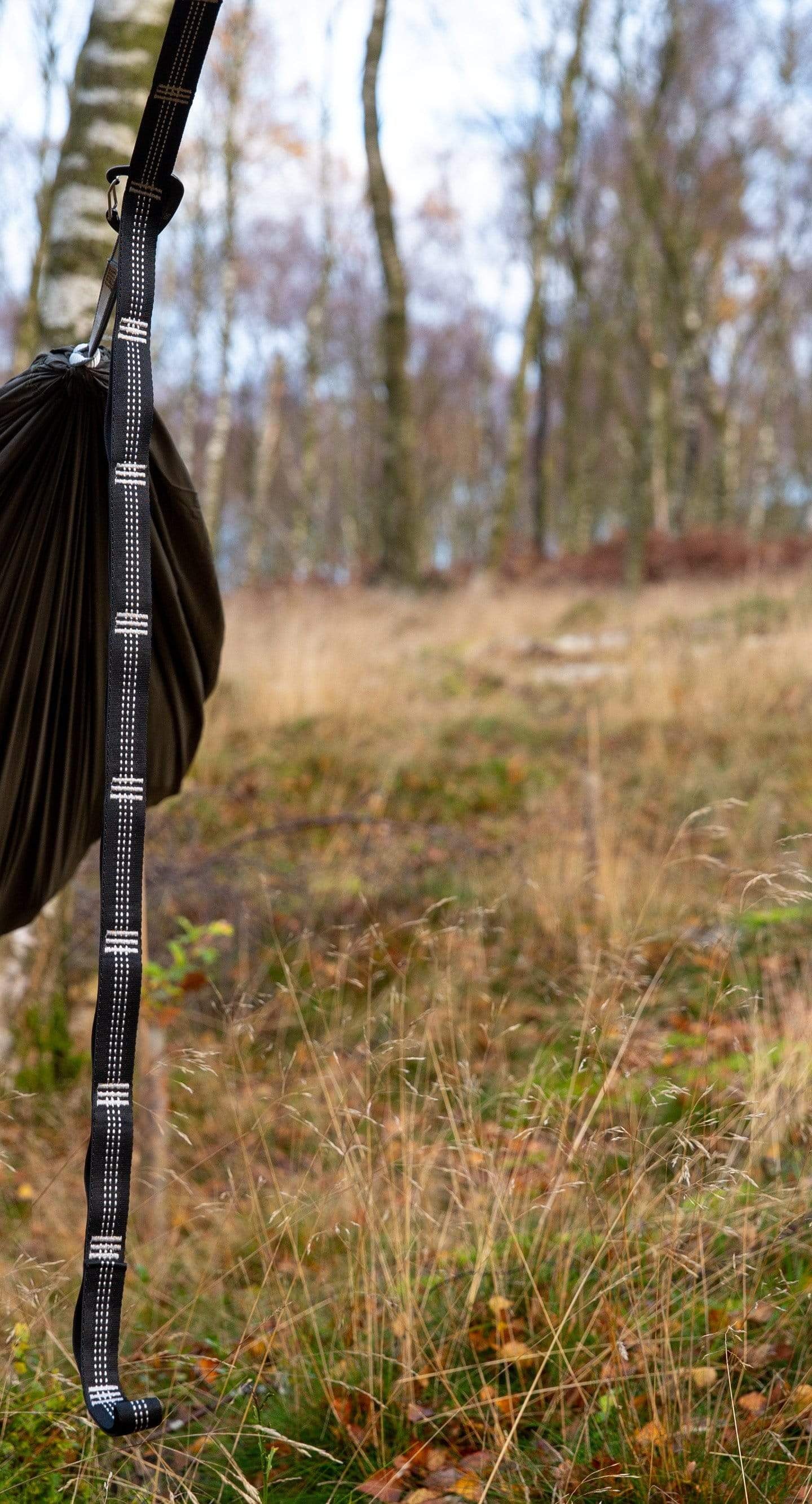 Camping hammock suspended between two trees