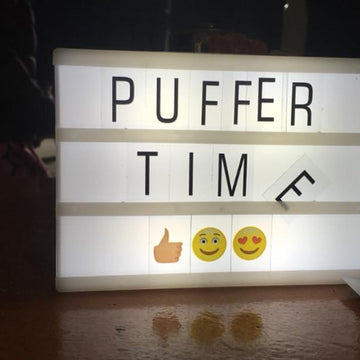 Active Traveller: Sonder Camino Al