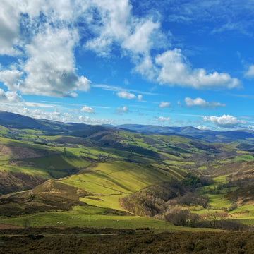 Offa's Dyke Leads Home