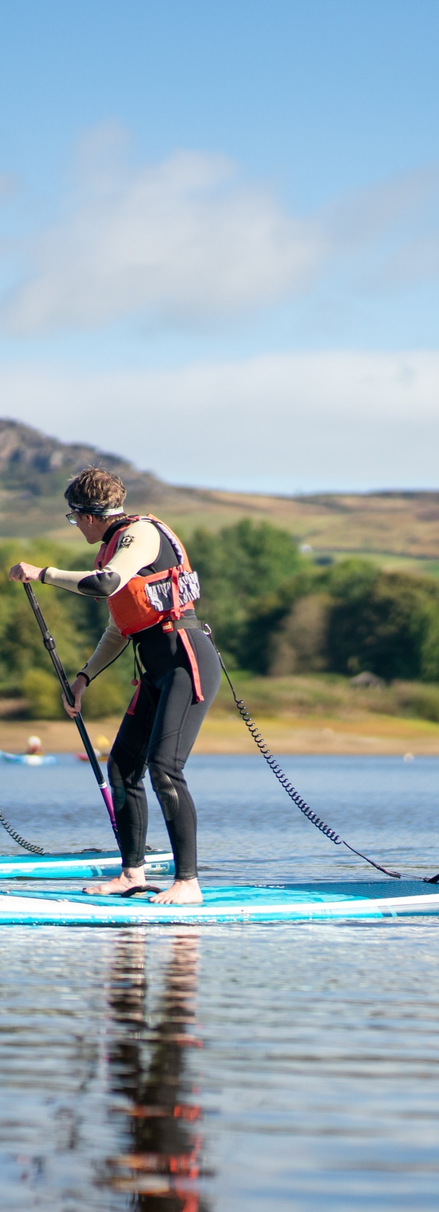 Big Shakeout 2025: the big shakedown