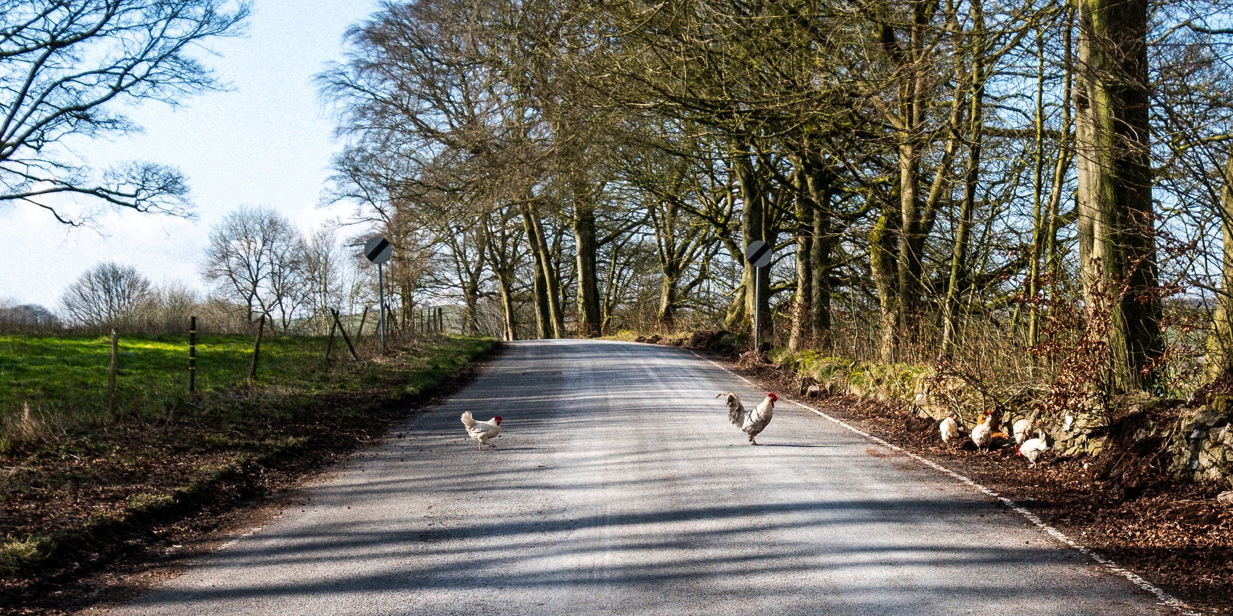 Home Roads Circular Commuting