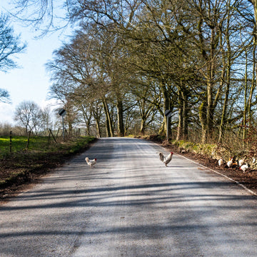 Surviving 24hr bike races - Strathpuffer