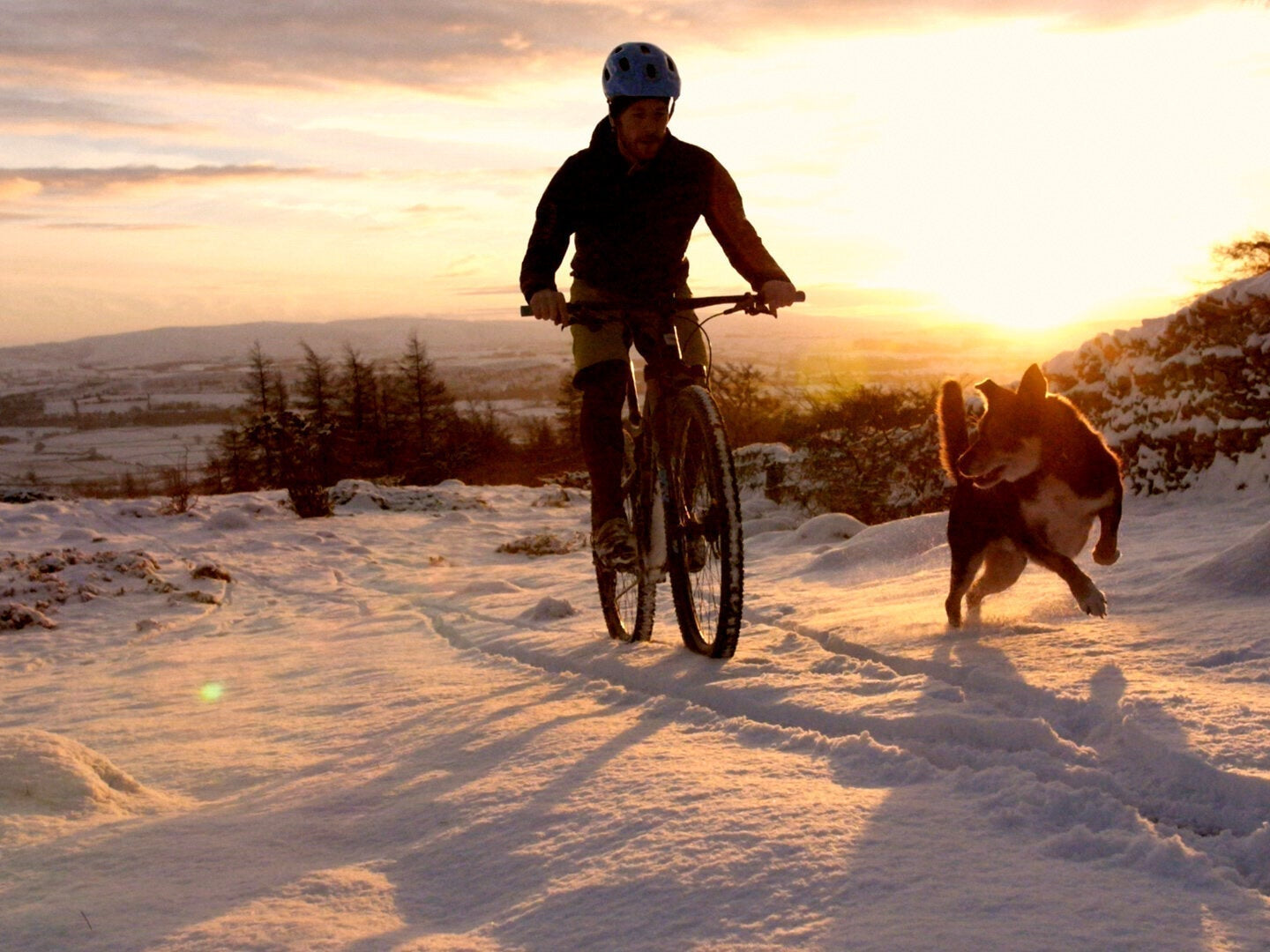 Winter cyclist in the snow with dog