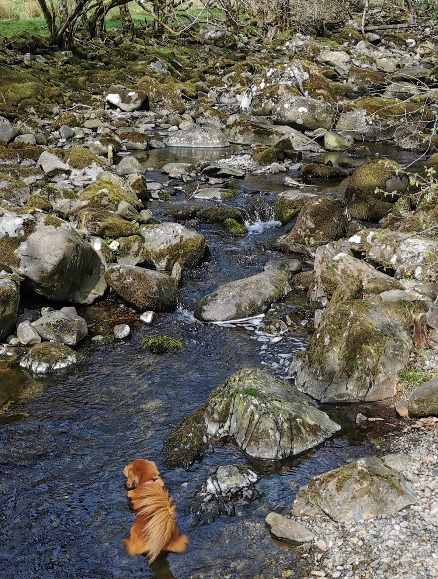 Camping in North Wales