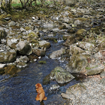 Lightweight bivvying in the Scottish Highlands