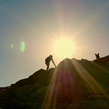 A year of Mountain Marathons