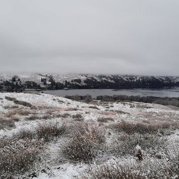 UKCampsite reviews Trinity