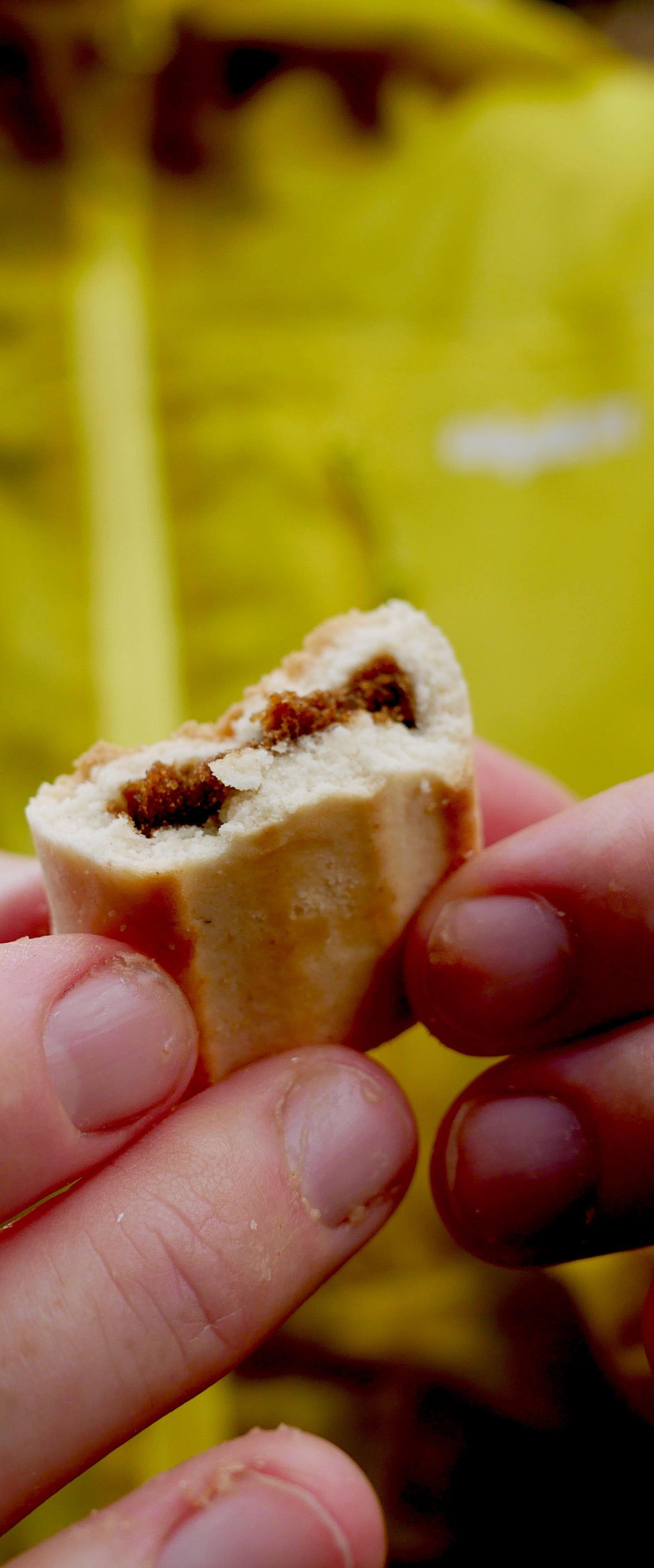 Nuggets of Culinary Wisdom for Fuelling your Training