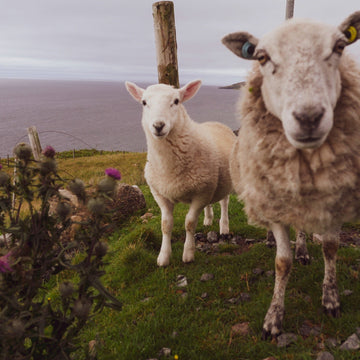 Not All Points North - Part 4