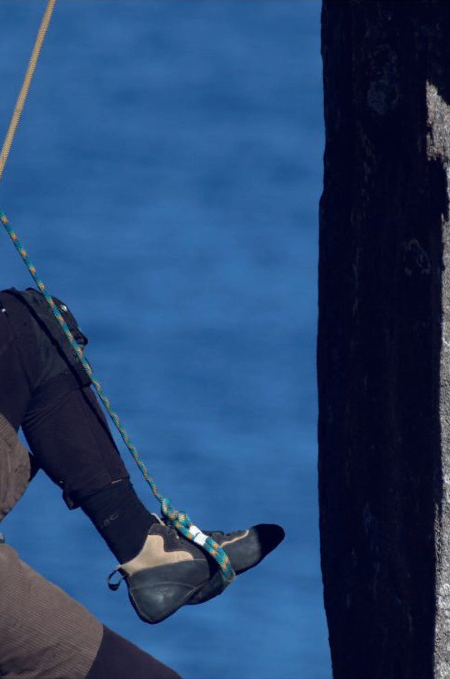 The Mountain Path by Paul Pritchard