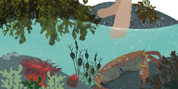 Wild Waters by Susanne Masters