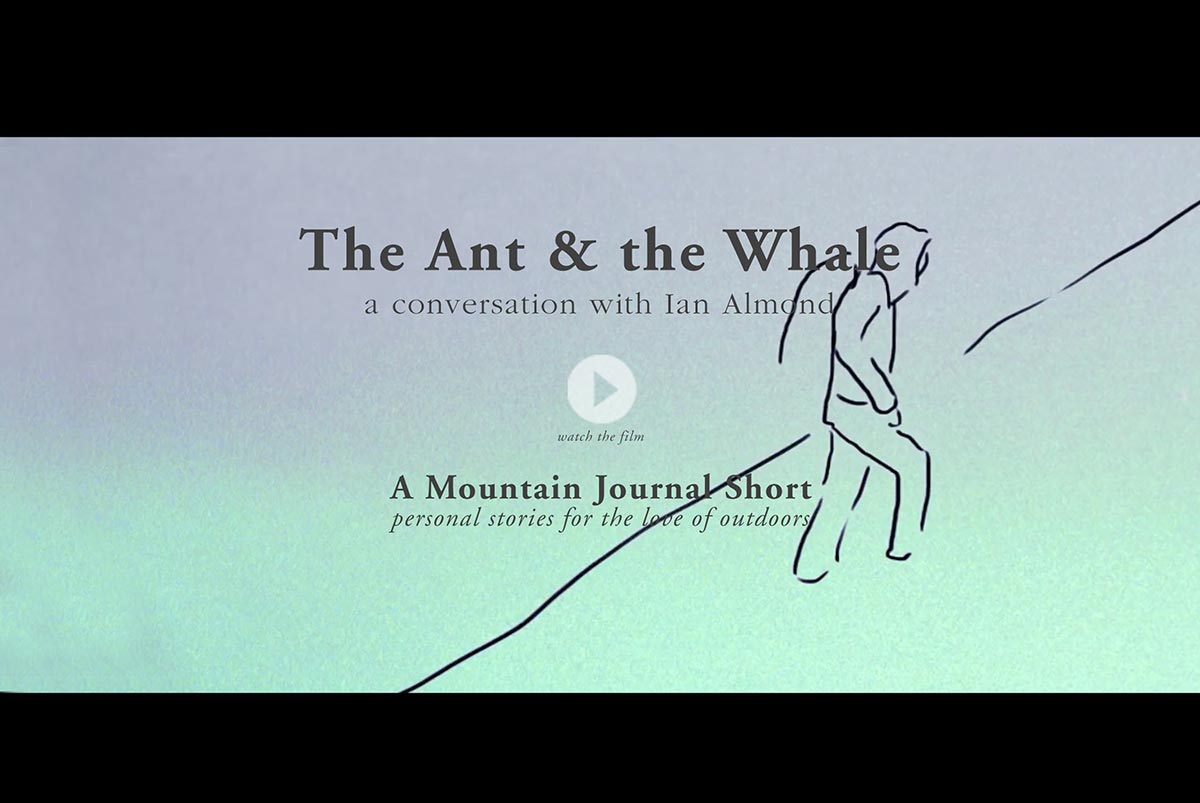 Ant and The Whale
