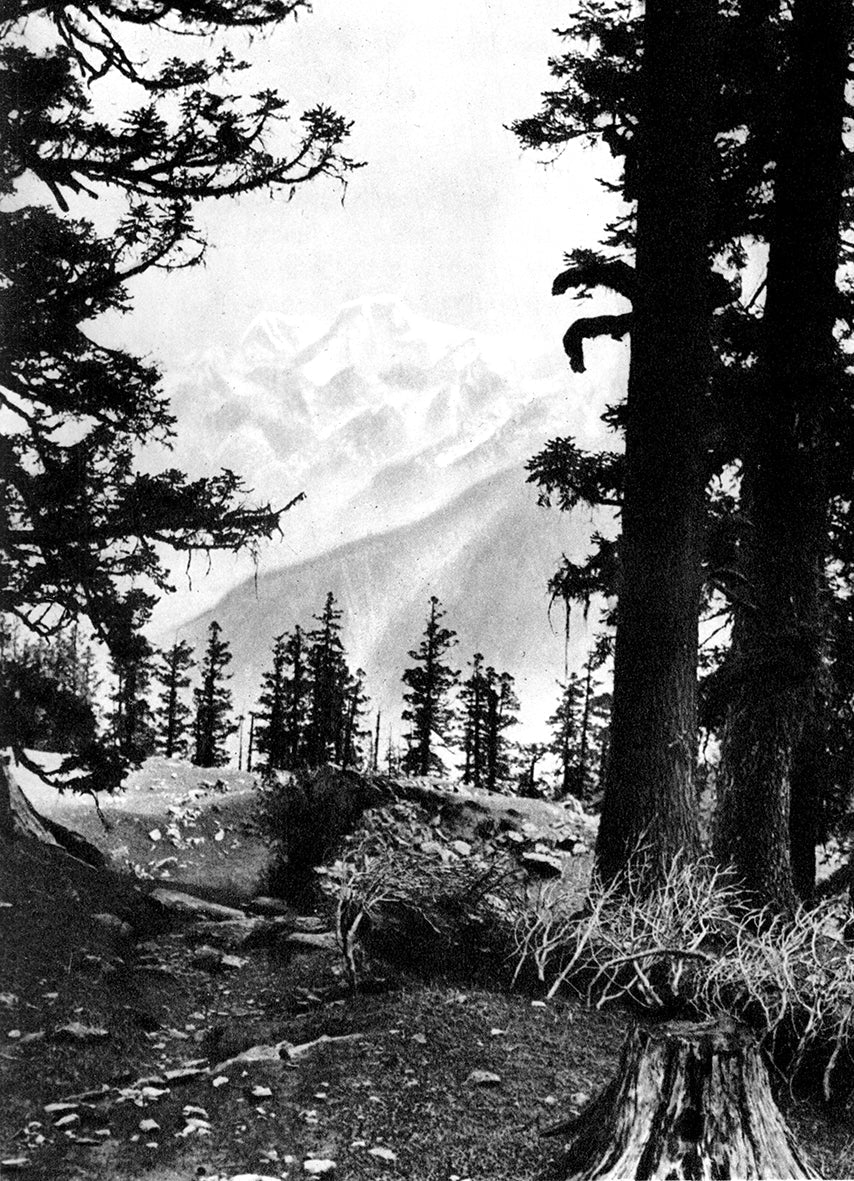 The Ascent of Nanda Devi