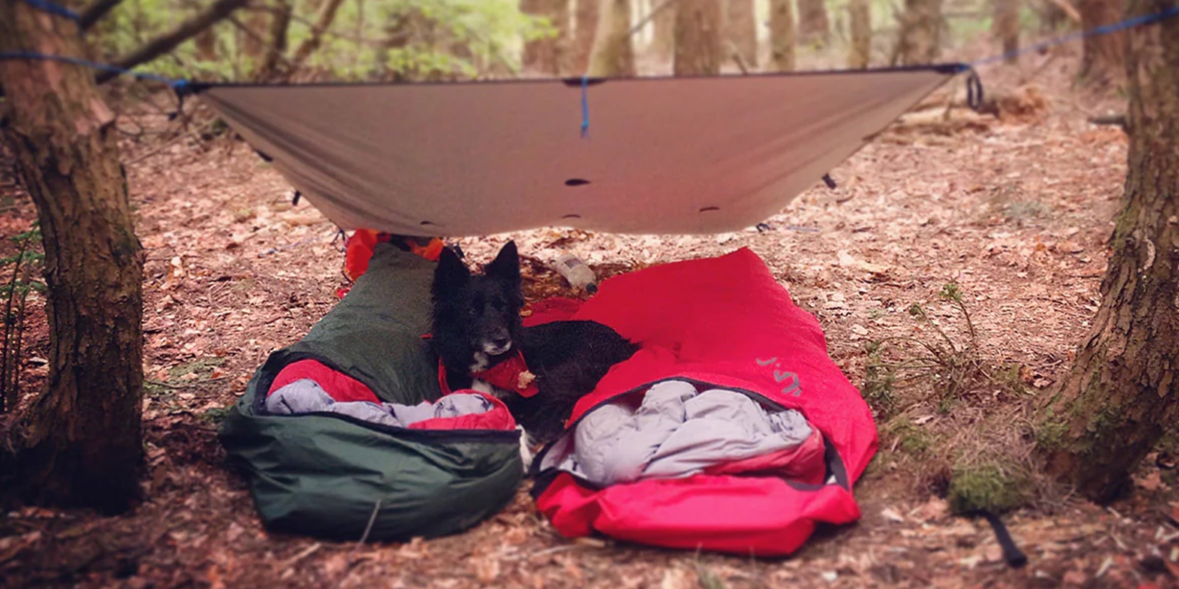 A double bivvy underneath a tarp