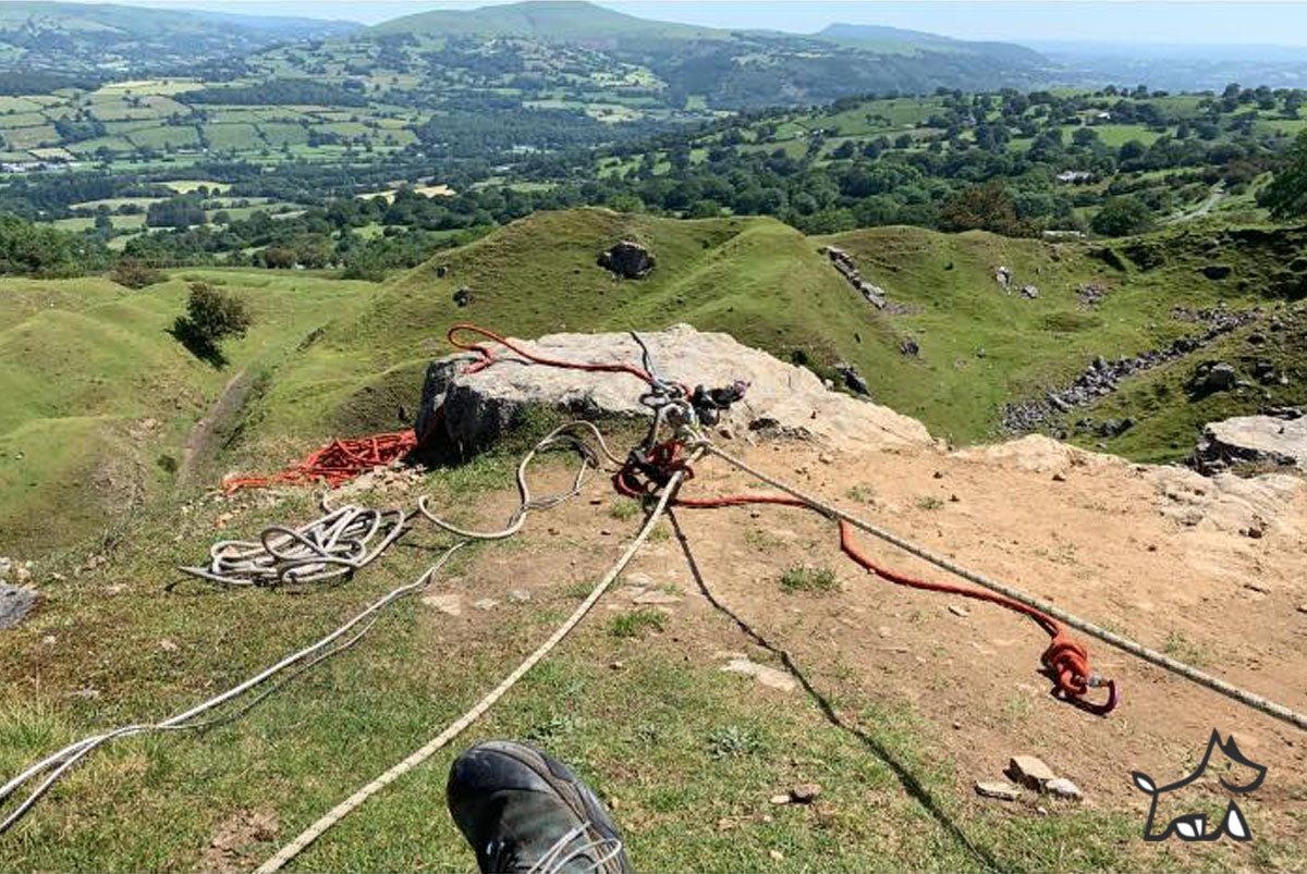 Black Dog Adventures