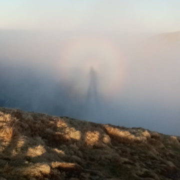 Babies &ndash; the latest training aid