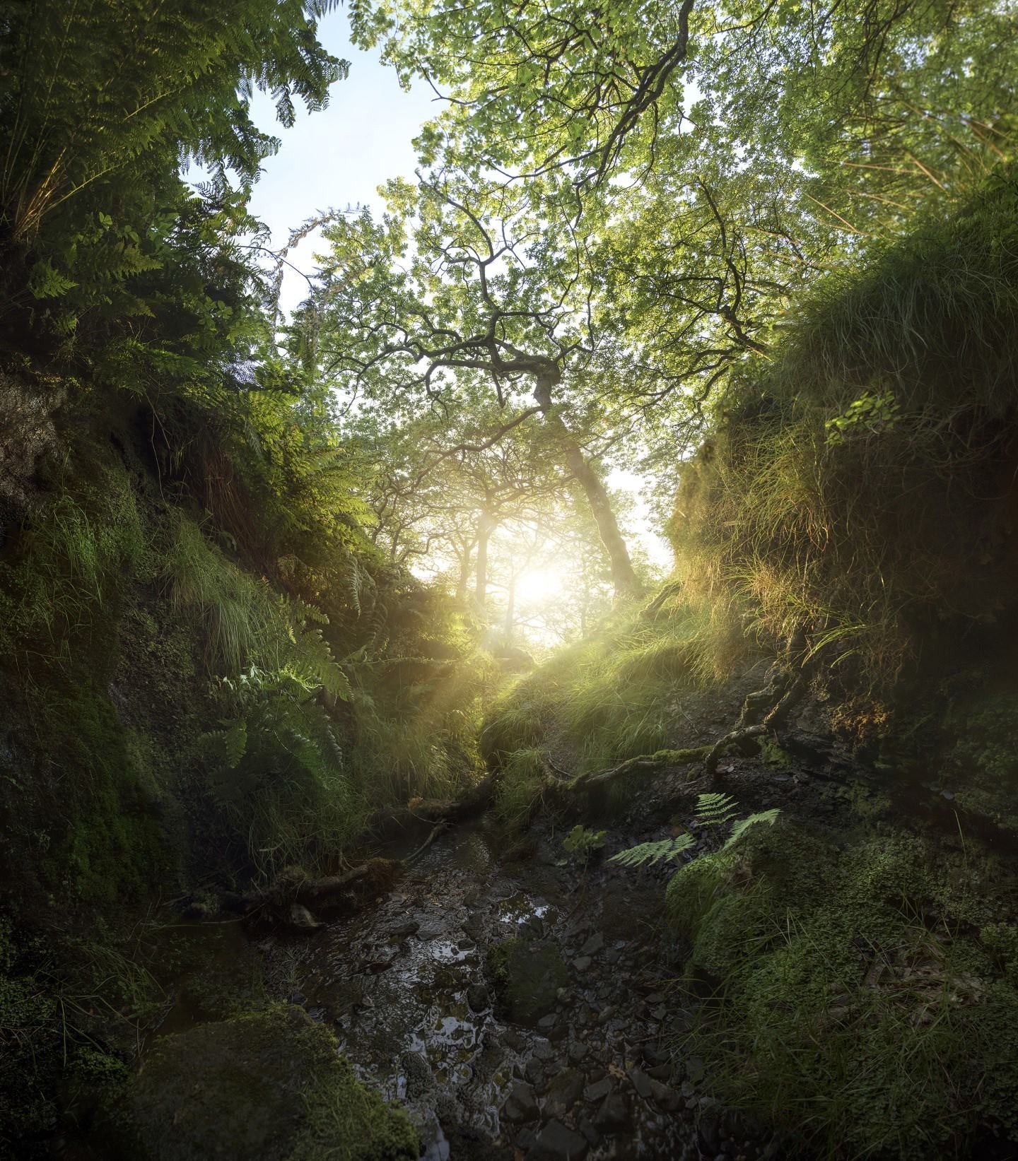 GRI Content Index to Alpkit 2023 Sustainability Report