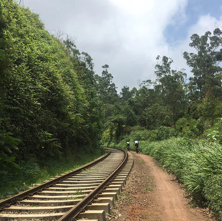 Cycling Adventures in Asia