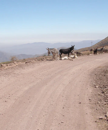 The Wild West of Lima
