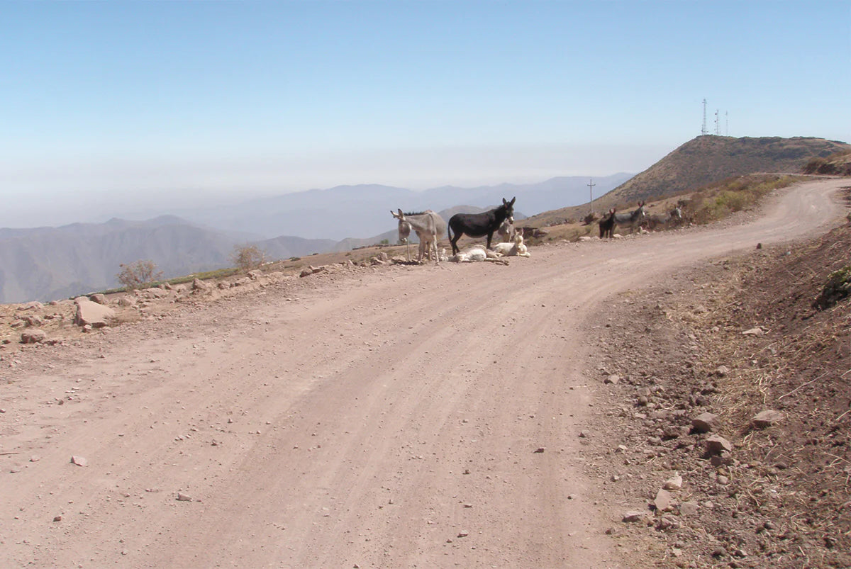 The Wild West of Lima