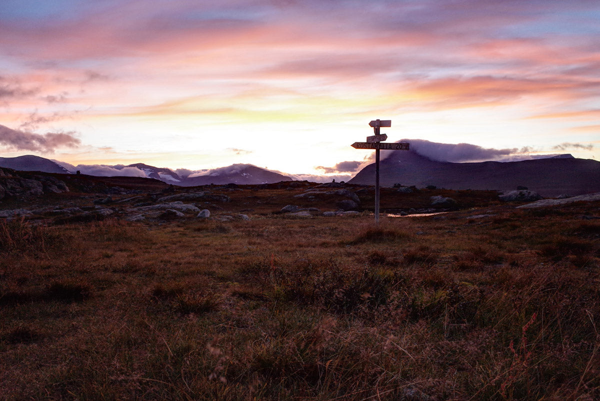 Run E1 the opening stages