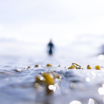 Wetsuit and neoprene recycling with Circular Flow