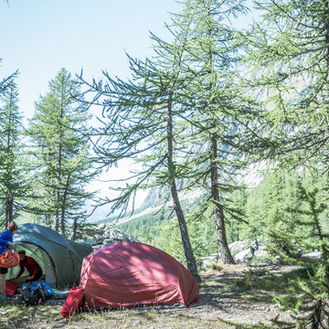 Two person tarp set up
