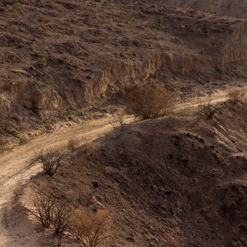 Active Traveller: Sonder Camino Al