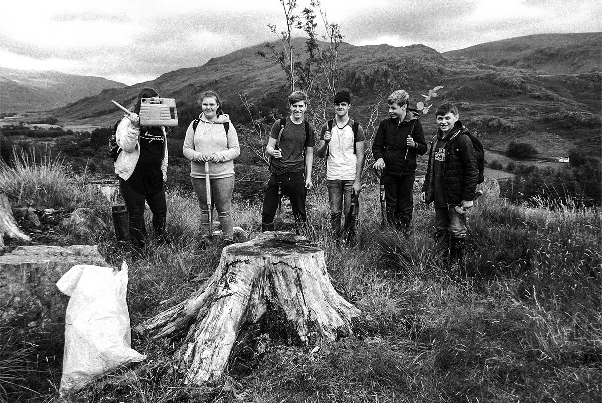 Schoolchildren planting trees at Hardknott Forest in the Lake District