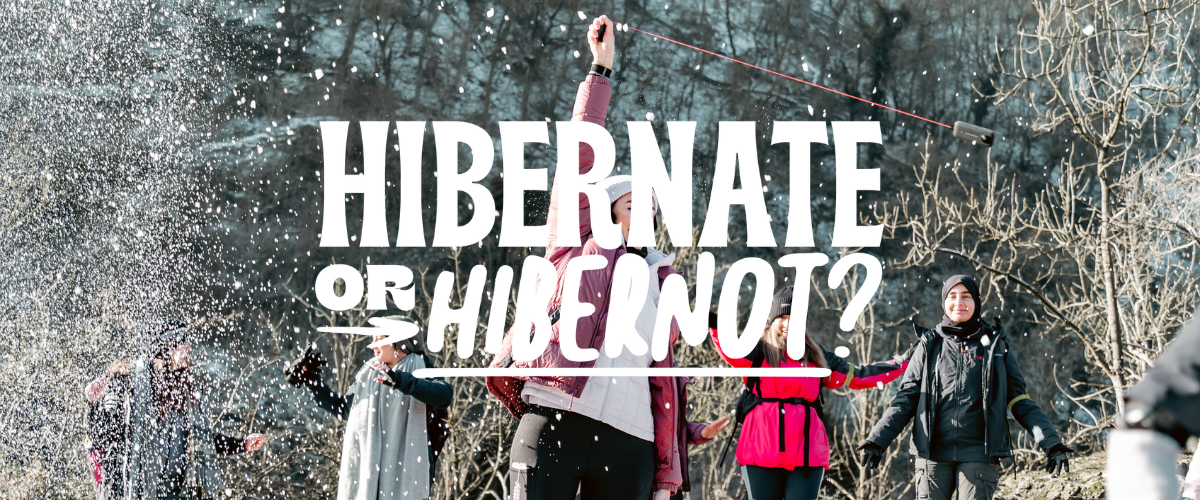 Hibernot