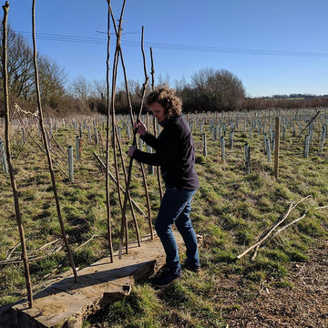 Following Nan - a slower, deeper style of mountaineering