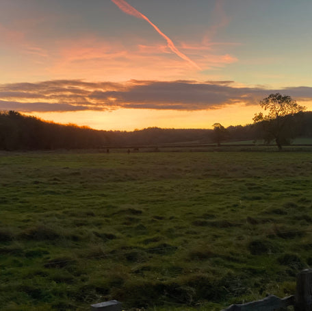 A Treasured Outdoor Moment - The magic of a sunrise