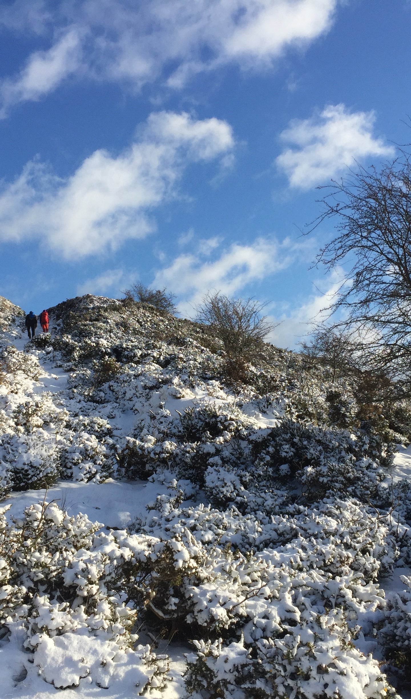 A Winter's Training Tale Part 2