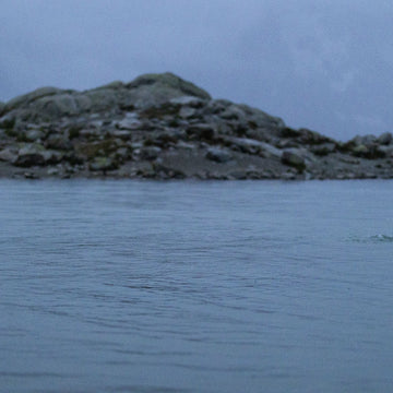 Swimming 5 Lakes: An Everyday Adventure