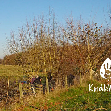 Following Nan - a slower, deeper style of mountaineering