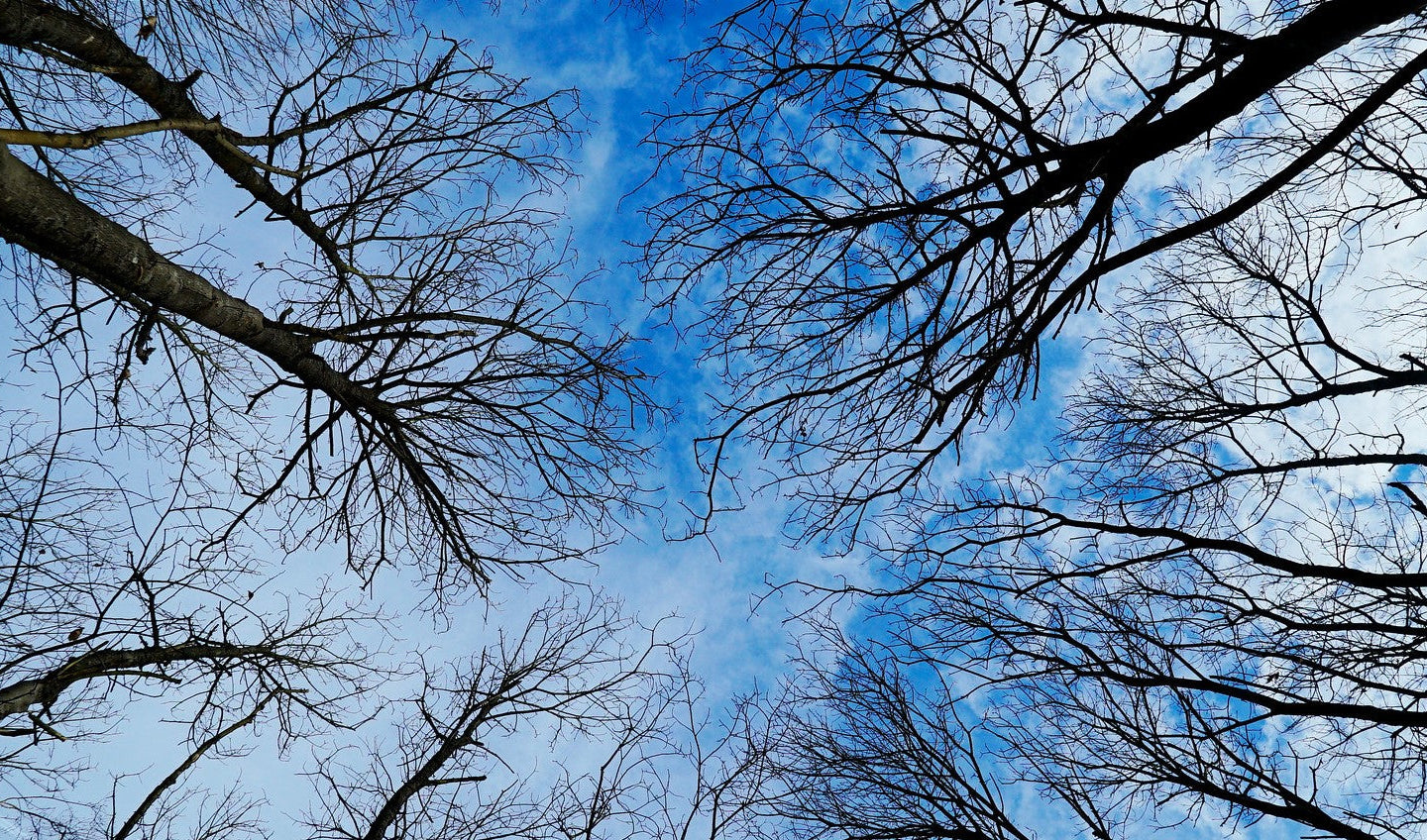 Local | An Alpkit Long Read