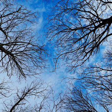 Babies &ndash; the latest training aid