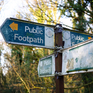 Running after the Asparagus