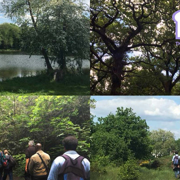 Winter Walking in the Lakes