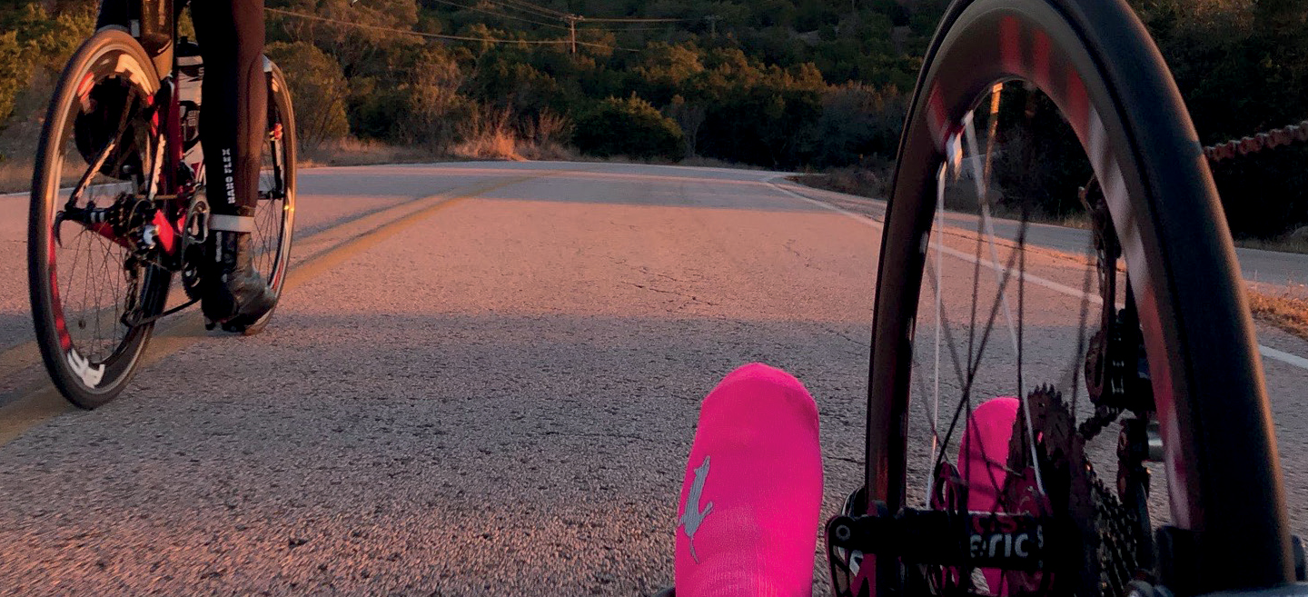 The Hare and the Tortoises