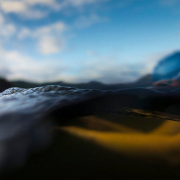 Swimmer exercising their right to swim