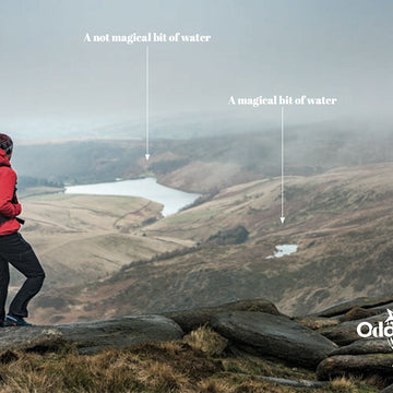 Babies &ndash; the latest training aid