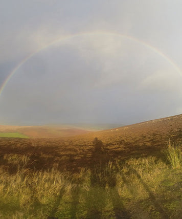 Offa's Dyke leads me home: Part 2