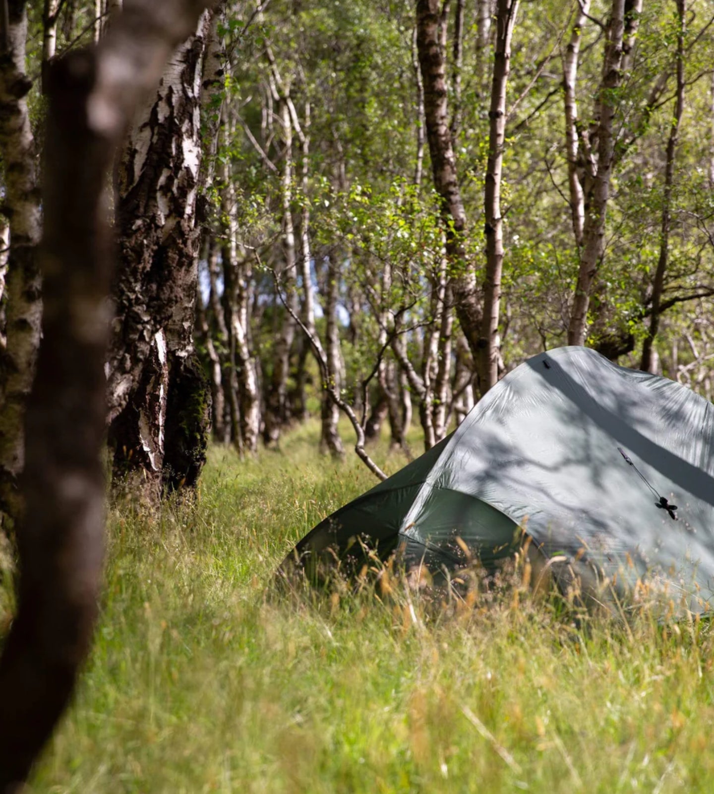 Lightweight backpacking tent