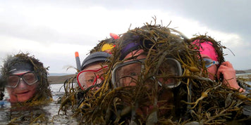 Lampay Island Circumnavigation