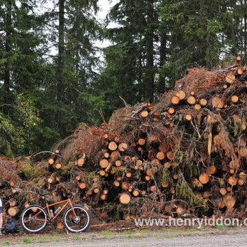Tuscany Trail 2015