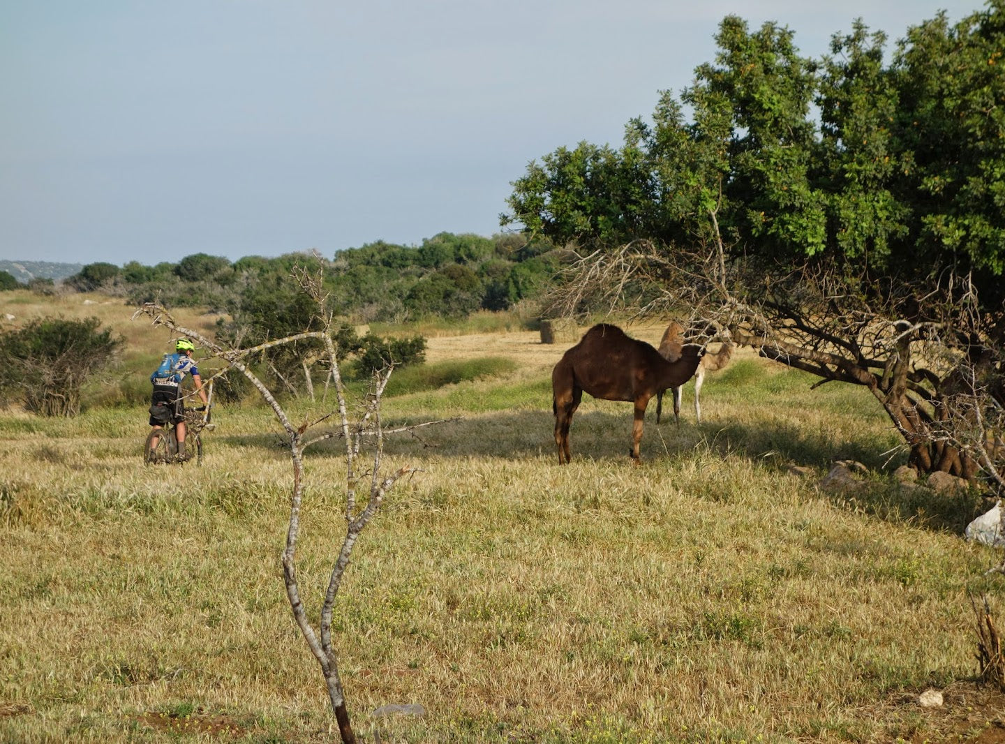 Holyland MTB Challenge - Sun, Sea and Jerusalem